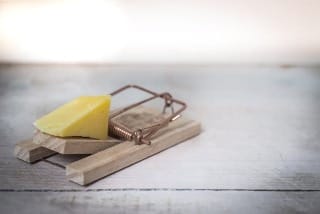 The Administrative Law Trap